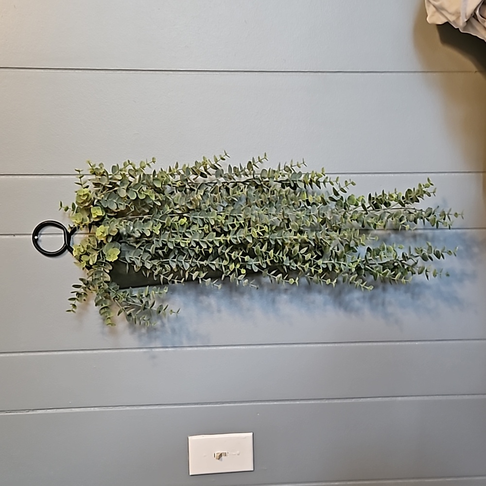 Hanging wall planter and fake greeney